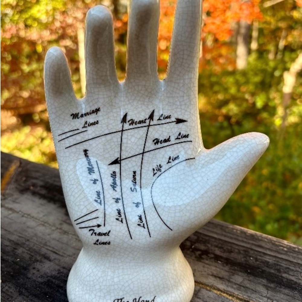 Palmistry Hand Decor with Black Lines